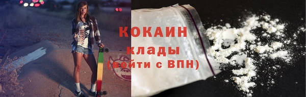 молекула духа Пересвет
