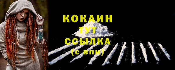 Альфа ПВП Пестово