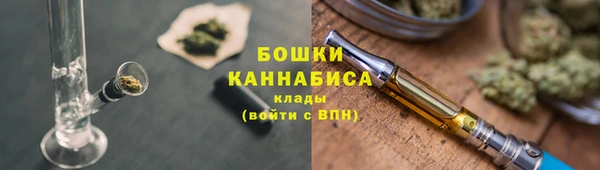 молекула духа Пересвет
