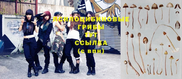 дживик Переславль-Залесский