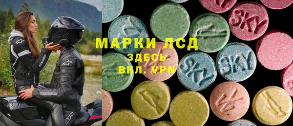 молекула духа Пересвет