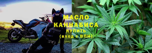 молекула духа Пересвет