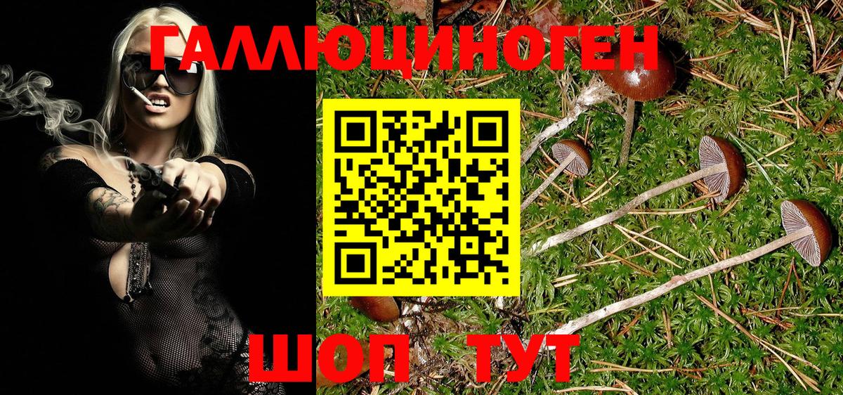 Галлюциногенные грибы ЛСД  Белореченск  Псилоцибиновые грибы мухоморы 